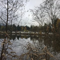 IMG 111